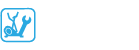Cross Trainers Repair